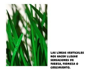 Las líneas verticales
nos hacen llegar
sensaciones de
fuerza, firmeza o
crecimiento.
 