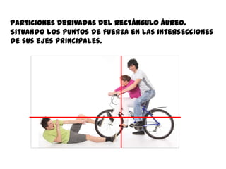 Particiones derivadas del rectángulo áureo.
Situando los puntos de fuerza en las intersecciones
de sus ejes principales.
 
