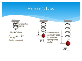 Hooke’s Law
 