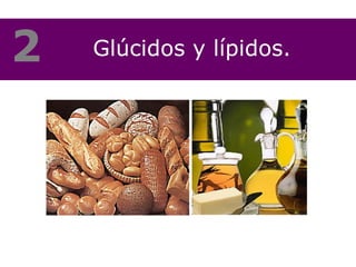 Glúcidos y lípidos. 2 