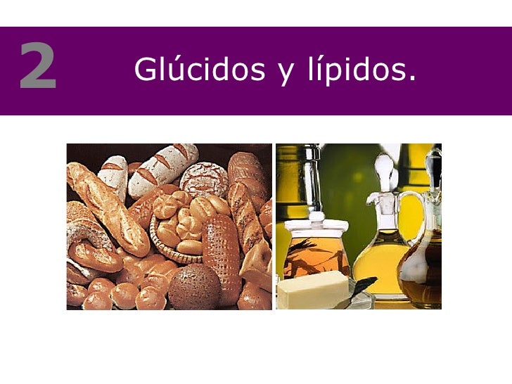 Protidos Lipidos Y Glucidos U2 - Glúcidos y lípidos