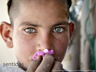 sentidos
h"p://cdn.theatlan@c.com/sta@c/infocus/afg050311/a01_849f48e5.jpg