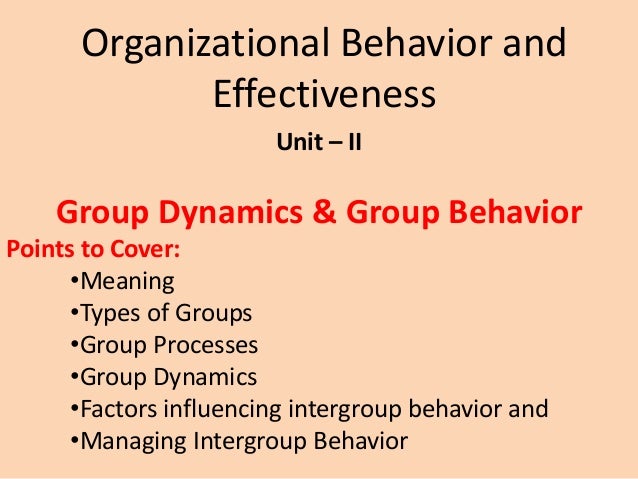 Group behavior meaning types of groups group process group dynam 
