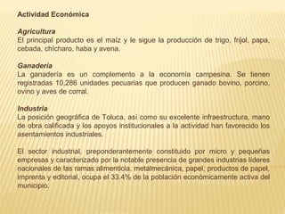 Actividad Económica

Agricultura
El principal producto es el maíz y le sigue la producción de trigo, frijol, papa,
cebada, chícharo, haba y avena.

Ganadería
La ganadería es un complemento a la economía campesina. Se tienen
registradas 10,286 unidades pecuarias que producen ganado bovino, porcino,
ovino y aves de corral.

Industria
La posición geográfica de Toluca, así como su excelente infraestructura, mano
de obra calificada y los apoyos institucionales a la actividad han favorecido los
asentamientos industriales.

El sector industrial, preponderantemente constituido por micro y pequeñas
empresas y caracterizado por la notable presencia de grandes industrias líderes
nacionales de las ramas alimenticia, metalmecánica, papel, productos de papel,
imprenta y editorial, ocupa el 33.4% de la población económicamente activa del
municipio.
 