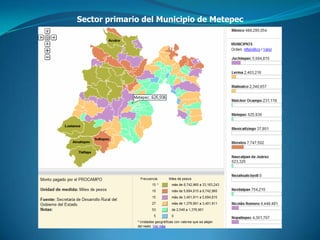 Sector primario del Municipio de Metepec
 