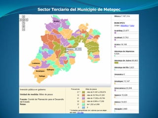 Sector Terciario del Municipio de Metepec
 