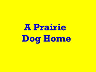 A Prairie  Dog Home 