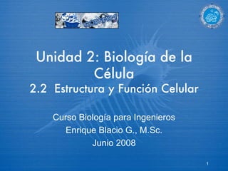 Unidad 2: Biolog ía de la Célula 2.2  Estructura y Función Celular Curso Biolog ía para Ingenieros Enrique Blacio G., M.Sc. Junio 2008 