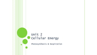 Unit 2
Cellular Energy
Photosynthesis & Respiration
 