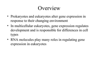 biochemistry Regulation of gene expression | PPT