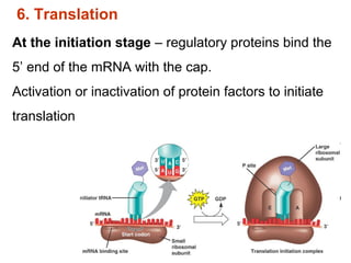 biochemistry Regulation of gene expression | PPT