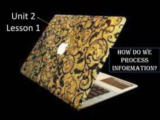 Unit 2
Lesson 1

             How do we
              process
           information?
 