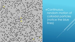 Continuous,
random motion of
colloidal particles
(notice the blue
lines)
 