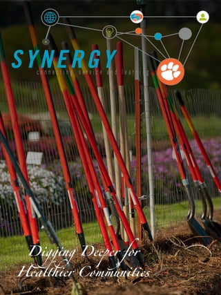 Initial Synergy Pdf Version
