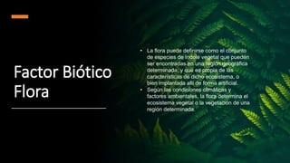 Factor Biótico
Flora
• La flora puede definirse como el conjunto
de especies de índole vegetal que pueden
ser encontradas en una región geográfica
determinada, y que es propia de las
características de dicho ecosistema, o
bien implantada allí de forma artificial.
• Según las condiciones climáticas y
factores ambientales, la flora determina el
ecosistema vegetal o la vegetación de una
región determinada.
 