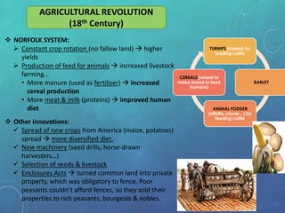 AGRICULTURAL REVOLUTION
(18th Century)
 NORFOLK SYSTEM:
 Constant crop rotation (no fallow land)  higher
yields
 Production of feed for animals  increased livestock
farming…
• More manure (used as fertiliser)  increased
cereal production
• More meat & milk (proteins)  improved human
diet
 Other innovations:
 Spread of new crops from America (maize, potatoes)
spread  more diversified diet.
 New machinery (seed drills, horse-drawn
harvesters…)
 Selection of seeds & livestock
 Enclosures Acts  turned common land into private
property, which was obligatory to fence. Poor
peasants couldn’t afford fences, so they sold their
properties to rich peasants, bourgeois & nobles.
TURNIPS (nabos) for
feeding cattle
BARLEY
ANIMAL FODDER
(alfalfa, clover…) for
feeding cattle
CEREALS (wheat to
make bread to feed
humans)
 