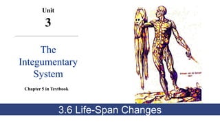 Unit
3
The
Integumentary
System
Chapter 5 in Textbook
3.6 Life-Span Changes
 