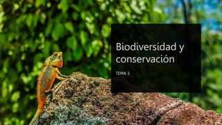 Biodiversidad y
conservación
TEMA 3
 