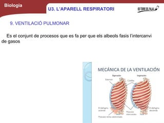 Biologia
Es el conjunt de procesos que es fa per que els albeols fasis l’intercanvi
de gasos
15
U3. L’APARELL RESPIRATORI
9. VENTILACIÓ PULMONAR
 