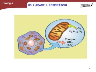 Biologia
2
U3. L’APARELL RESPIRATORI
 