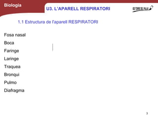 Biologia
Fosa nasal
Boca
Faringe
Laringe
Traquea
Bronqui
Pulmo
Diafragma
1.1 Estructura de l'aparell RESPIRATORI
3
U3. L’APARELL RESPIRATORI
 