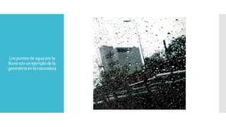 Lospuntosdeaguaporla
lluviasonunejemplodela
geometriaenlanaturaleza
 