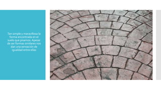  Tan simple y maravillosa la
forma encontrada en el
suelo que pisamos.Apesar
de ser formas similares nos
dan una sensación de
igualdad entre ellas
 