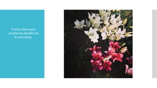 Primer plano para
resaltar los detalles de
la naturaleza.
 