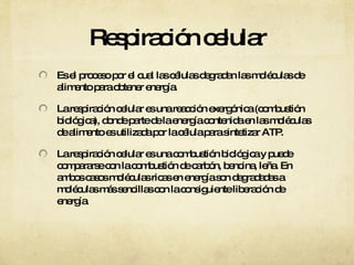 Respiración celular Es el proceso por el cual las células degradan las moléculas de alimento para obtener energía. La respiración celular es una reacción exergónica (combustión biológica), donde parte de la energía contenida en las moléculas de alimento es utilizada por la célula para sintetizar ATP. La respiración celular es una combustión biológica y puede compararse con la combustión de carbón, bencina, leña. En ambos casos moléculas ricas en energía son degradadas a moléculas más sencillas con la consiguiente liberación de energía. 