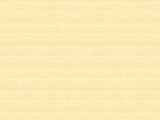 • Cortés logra someter a Tlatoani, Moctezuma,
dándole muerte. Su gobierno fue resistido por
los aztecas («noche triste»), pero finalmente
se impuso en 1520.
Moctezuma se encuentra con Hernán Cortés en Tenohtitlán, capital del Imperio, en
1519.
 