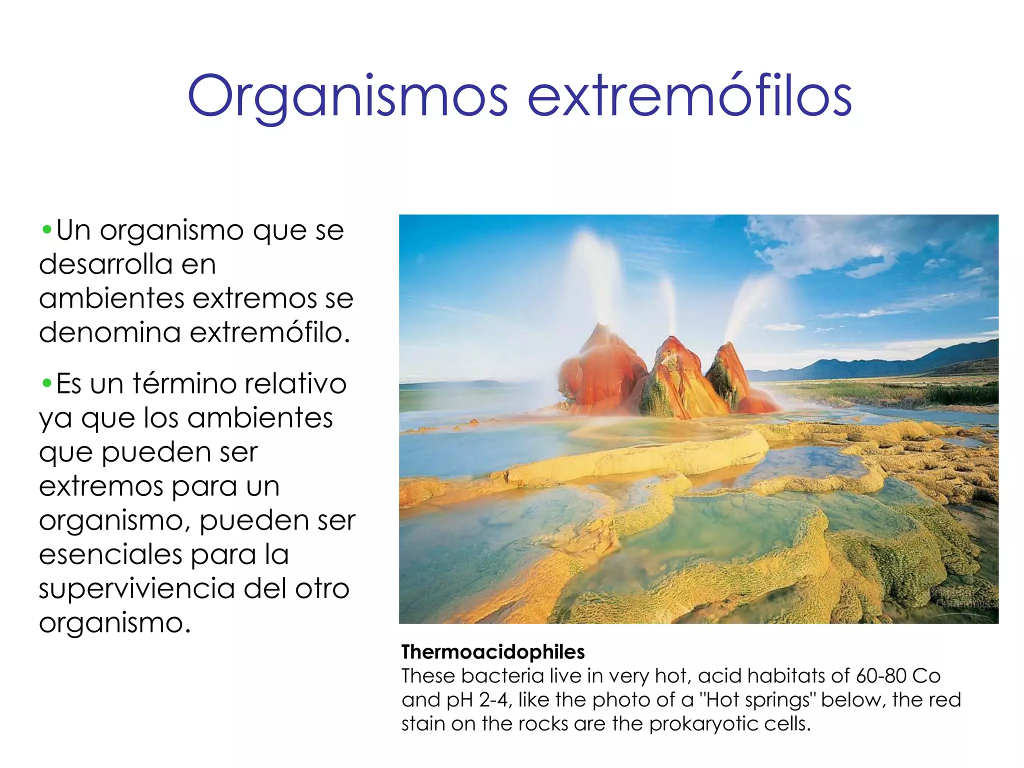 U3g extremofilos 20267 | PDF