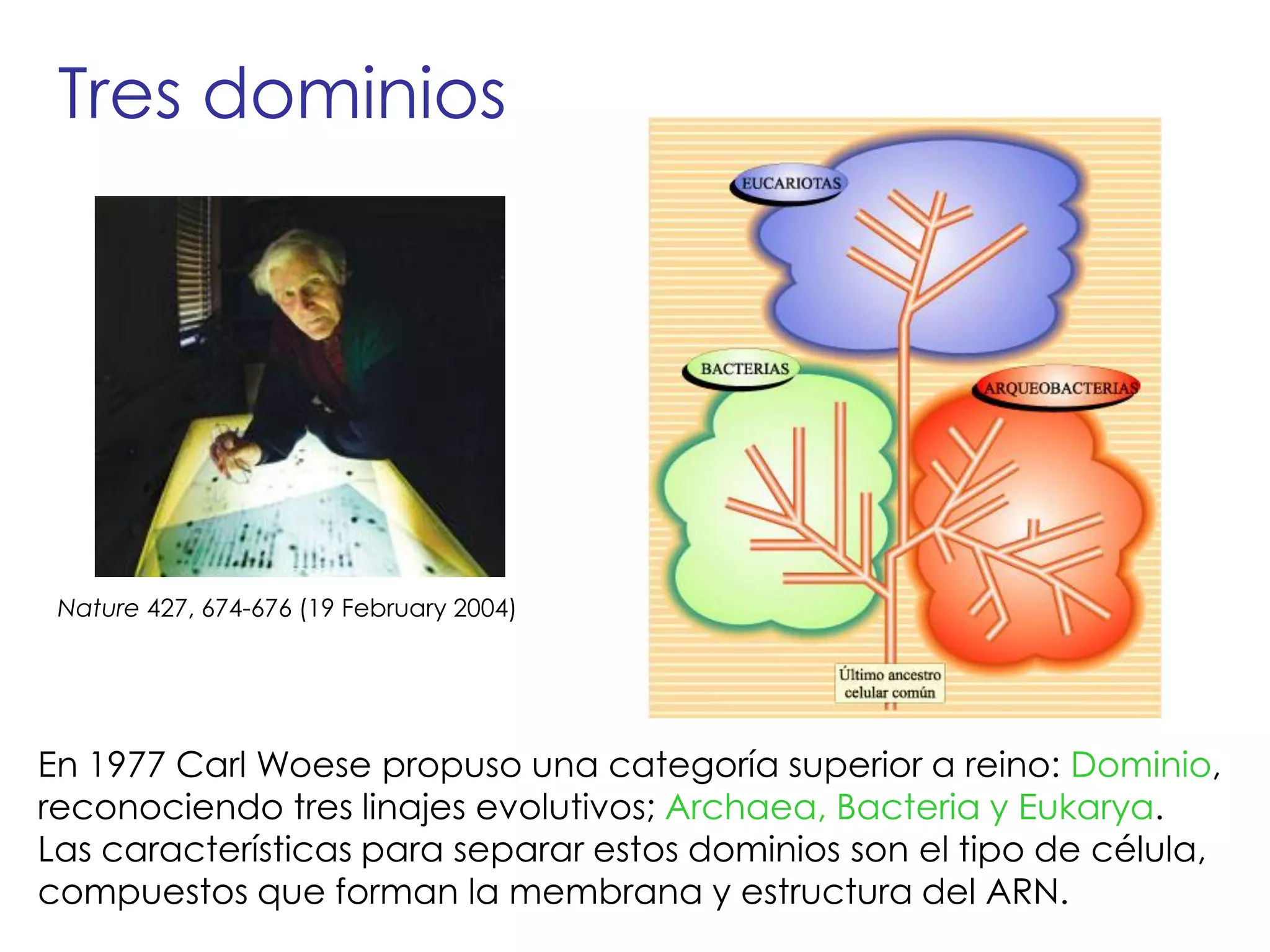 U3g extremofilos 20267 | PPT