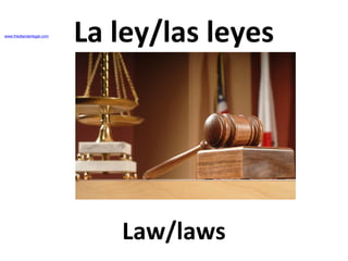 www.friedlanderlegal.com

La ley/las leyes

Law/laws

 