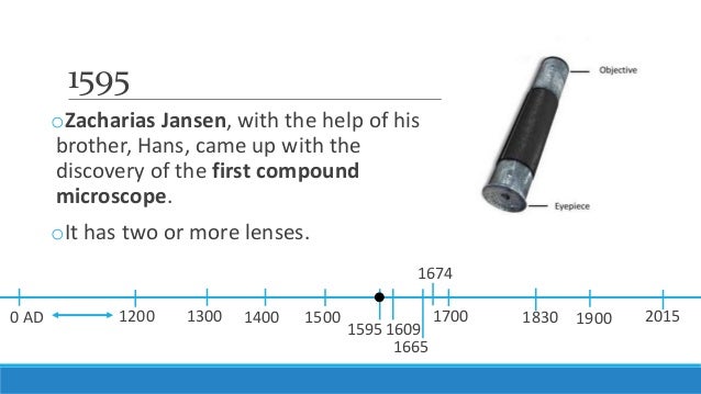 Unit 3 Lesson 3 1 Microscopes