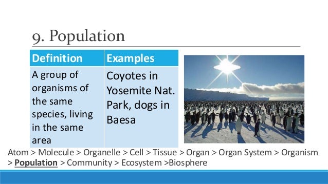 Unit 3, Lesson 3.2 Levels of Biological Organization
