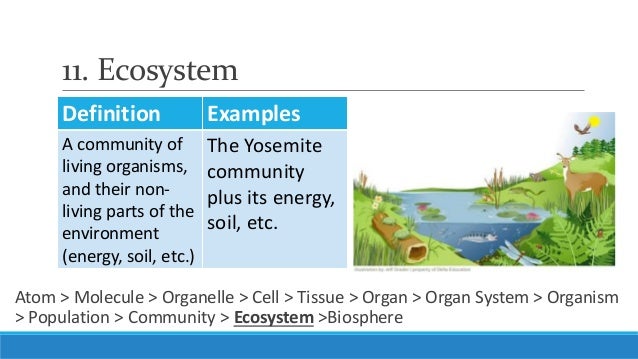 Unit 3 Lesson 3 2