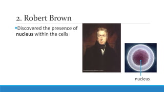 2. Robert Brown
Discovered the presence of
nucleus within the cells
nucleus
 
