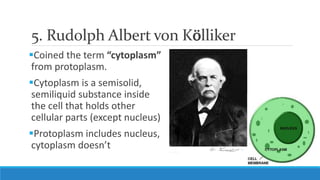 5. Rudolph Albert von Kölliker
Coined the term “cytoplasm”
from protoplasm.
Cytoplasm is a semisolid,
semiliquid substance inside
the cell that holds other
cellular parts (except nucleus)
Protoplasm includes nucleus,
cytoplasm doesn’t
 