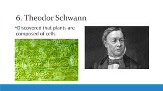 6. Theodor Schwann
Discovered that plants are
composed of cells
 