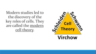 Modern studies led to
the discovery of the
key roles of cells. They
are called the modern
cell theory.
 