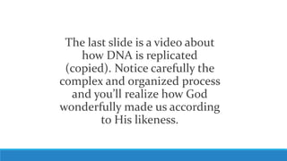 The last slide is a video about
how DNA is replicated
(copied). Notice carefully the
complex and organized process
and you’ll realize how God
wonderfully made us according
to His likeness.
 