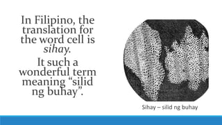 In Filipino, the
translation for
the word cell is
sihay.
It such a
wonderful term
meaning “silid
ng buhay”.
Sihay – silid ng buhay
 