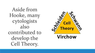 Aside from
Hooke, many
cytologists
also
contributed to
develop the
Cell Theory.
 