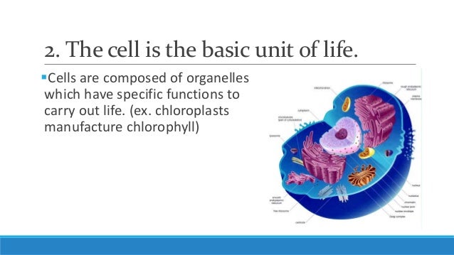 of 2 composition basic functions Unit 3.3 Theory Cell 3, Lesson The of 2 composition basic functions Unit 3.3 Theory Cell 3, Lesson The