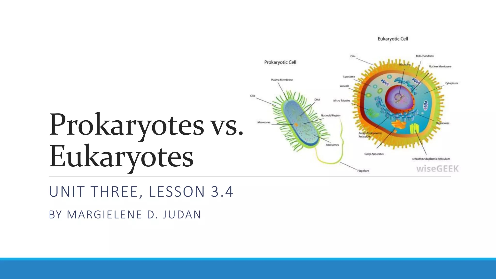 Unit 3, Lesson 3.4 - Prokaryotes vs. Eukaryotes | PPTX