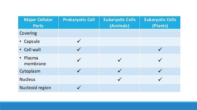 Unit 3, Lesson 3.4 - Prokaryotes vs. Eukaryotes