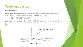 Vector gradiente
Vector gradiente
La derivada direccional puede expresarse como el producto de dos vectores
𝐷𝒖𝑓 𝑥, 𝑦 = 𝑓𝑥 𝑥, 𝑦 . 𝑎 + 𝑓𝑦 𝑥, 𝑦 . 𝑏 = 𝑎, 𝑏 ∙ 𝑓𝑥 𝑥, 𝑦 , 𝑓𝑦 𝑥, 𝑦
= (𝑎 𝒊 + 𝑏 𝒋) ∙ 𝑓𝑥 𝑥, 𝑦 𝒊 + 𝑓𝑦 𝑥, 𝑦 𝒋
𝛻𝑓 𝑥, 𝑦 = 𝑓𝑥 𝑥, 𝑦 , 𝑓𝑦 𝑥, 𝑦 =
𝜕𝑓
𝜕𝑥
,
𝜕𝑓
𝜕𝑦
=
𝜕𝑧
𝜕𝑥
,
𝜕𝑧
𝜕𝑦
= 𝑓𝑥 𝑥, 𝑦 𝒊 + 𝑓𝑦 𝑥, 𝑦 𝒋 =
𝜕𝑓
𝜕𝑥
𝒊 +
𝜕𝑓
𝜕𝑦
𝒋
 