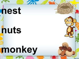nest
nuts
monkey
 