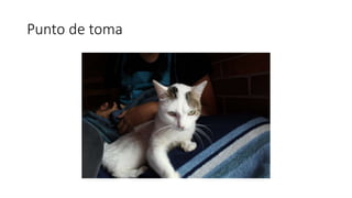 Punto de toma
 