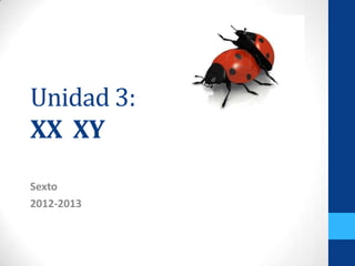 Unidad 3:
XX XY
Sexto
2012-2013
 